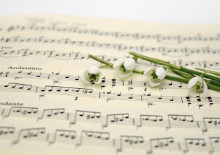 Sheet music