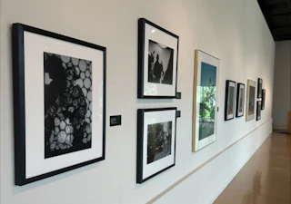 art on museum wall
