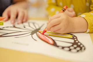 Child coloring butterfly sheet